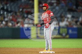 Reds Angels Baseball