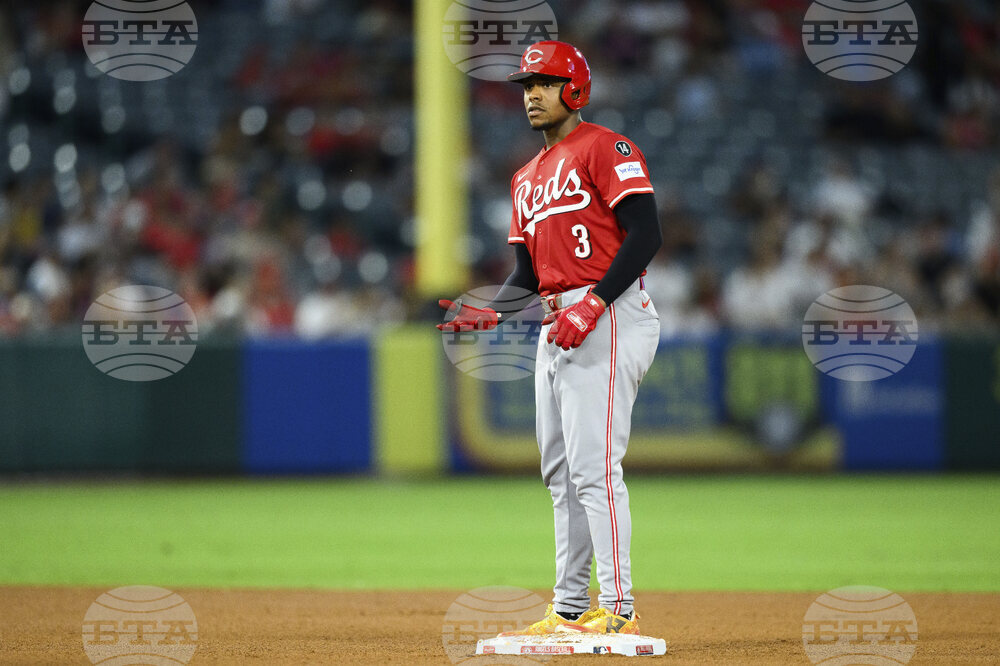 Reds Angels Baseball