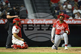 Reds Angels Baseball