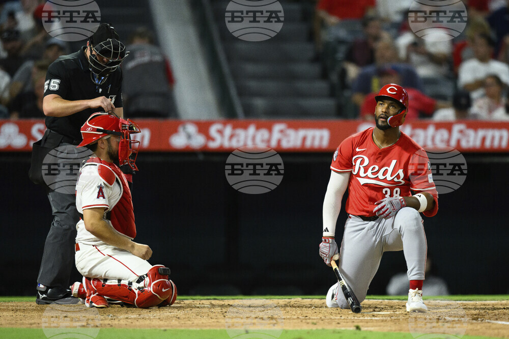 Reds Angels Baseball