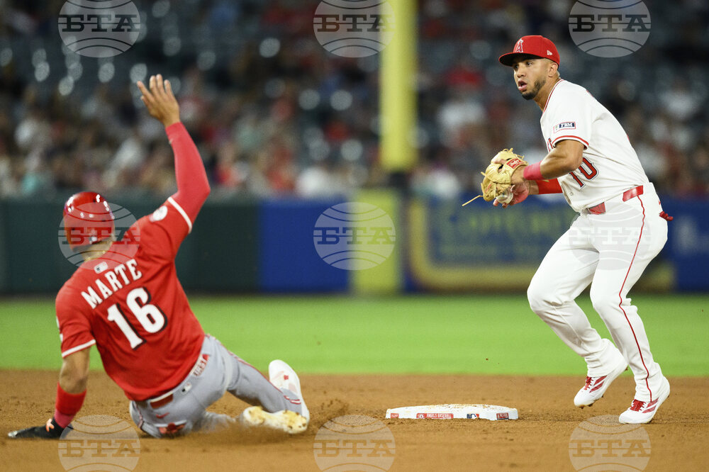 Reds Angels Baseball