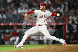 Reds Angels Baseball