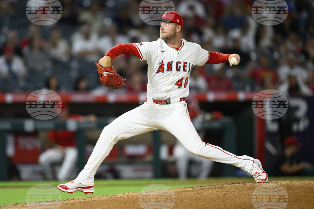Reds Angels Baseball