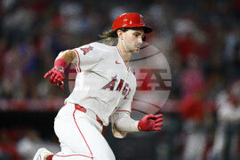 Reds Angels Baseball