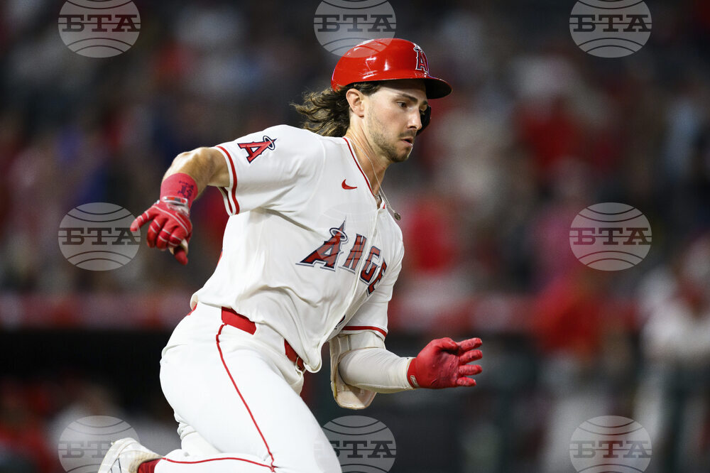 Reds Angels Baseball