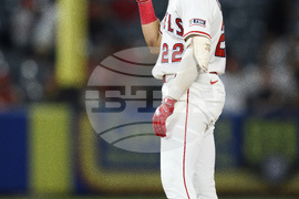 Reds Angels Baseball