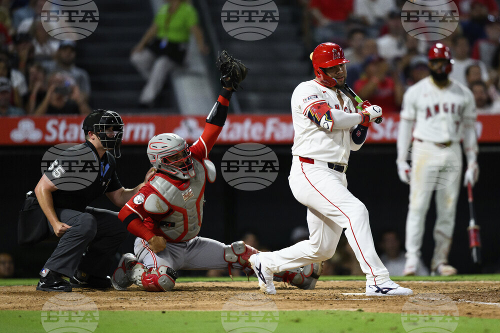 Reds Angels Baseball