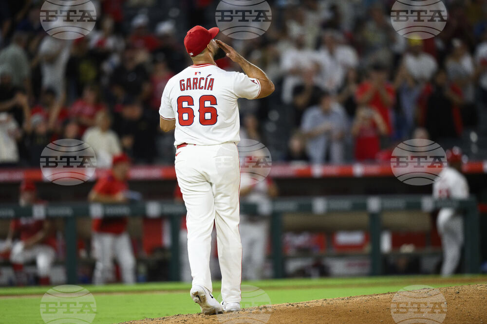 Reds Angels Baseball