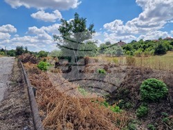 Разград - село Раковски - почистване