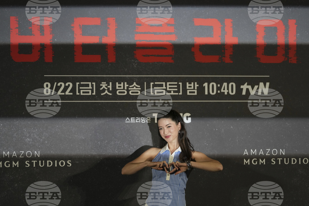 South Korea Butterfly