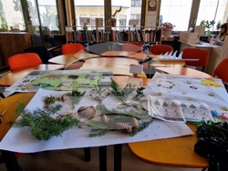 Смолян - библиотека - оборудване