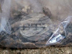 Национална художесвена галерия - разкопки - археология