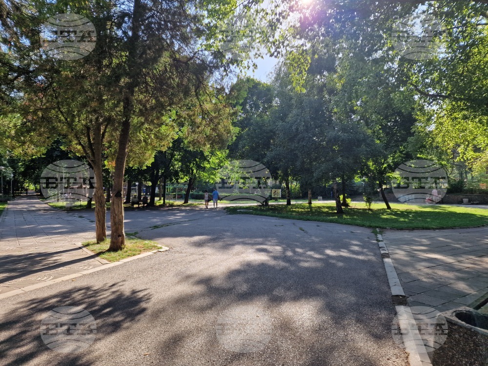 Забрана за разхождане на кучета в Централния градски парк в Перник влиза в сила от утре