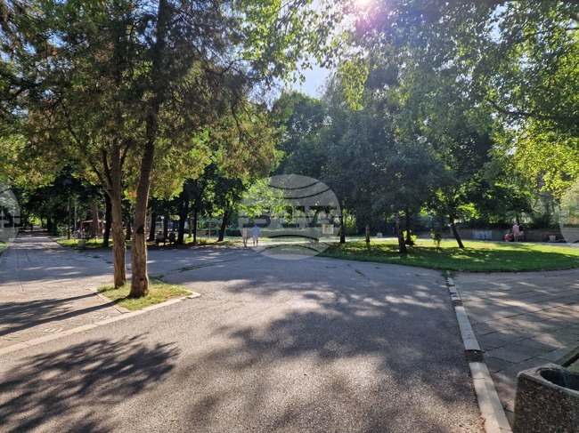 Забрана за разхождане на кучета в Централния градски парк в Перник влиза в сила от утре