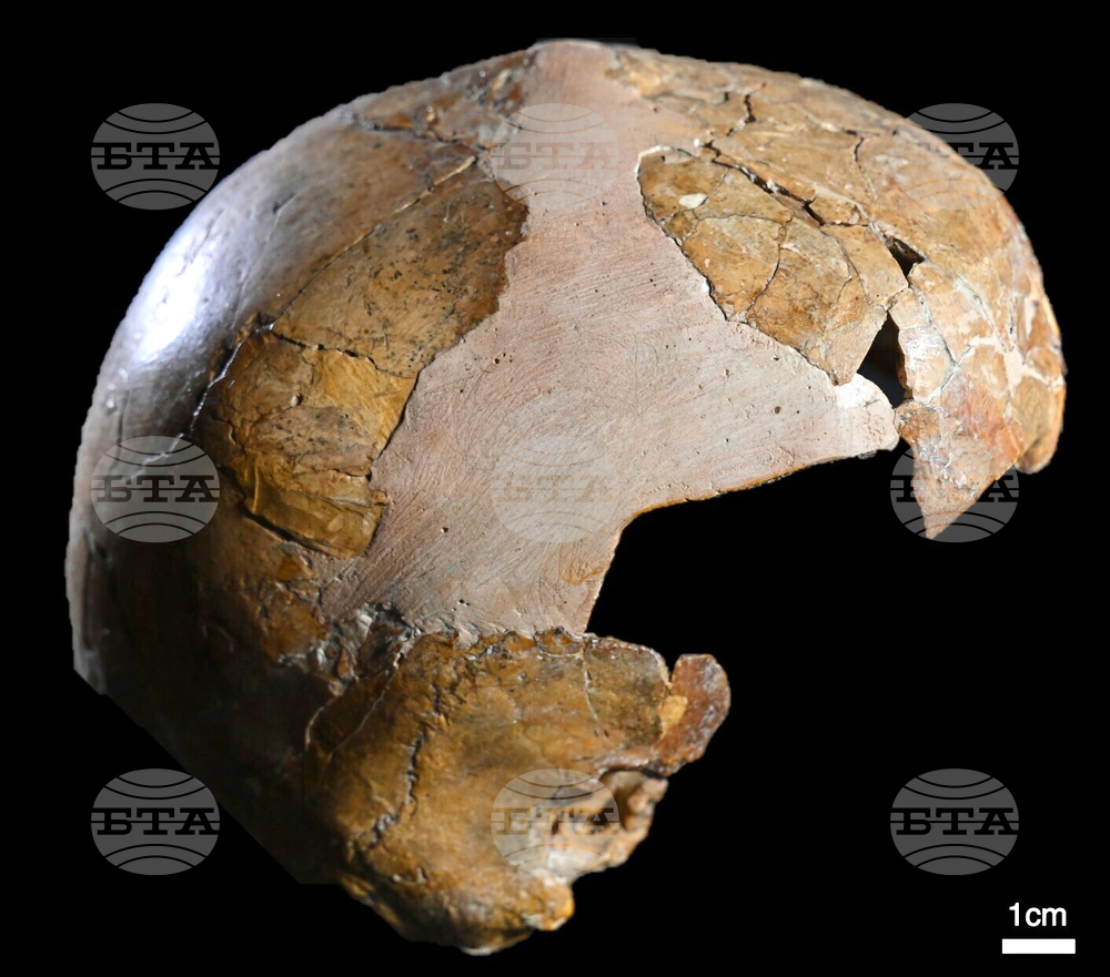 Israel Archaeology Neanderthals