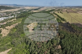 Сливница - пожар