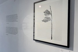Казанлък - Лоте Михайлова - „Срамежливата интимност“ - фотоизложба