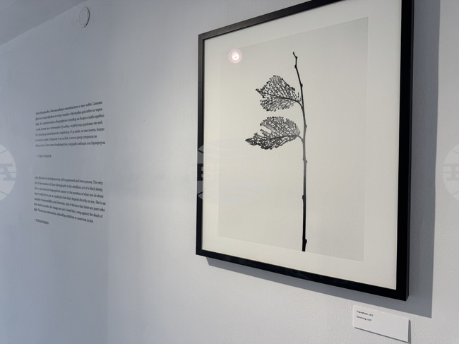 В Казанлък ще се състои дискусия за творчеството на фотографката Лоте Михайлова