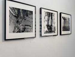 Казанлък - Лоте Михайлова - „Срамежливата интимност“ - фотоизложба