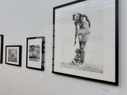 Казанлък - Лоте Михайлова - „Срамежливата интимност“ - фотоизложба