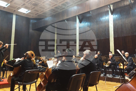 Видин - Сара Бисли Шнайдер - концерт