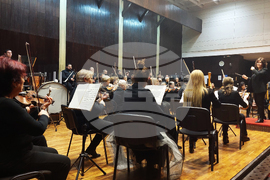 Видин - Сара Бисли Шнайдер - концерт