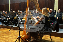 Видин - Сара Бисли Шнайдер - концерт