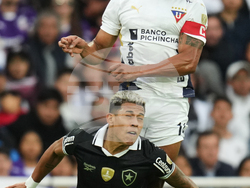 Ecuador Brazil Soccer Copa Libertadores