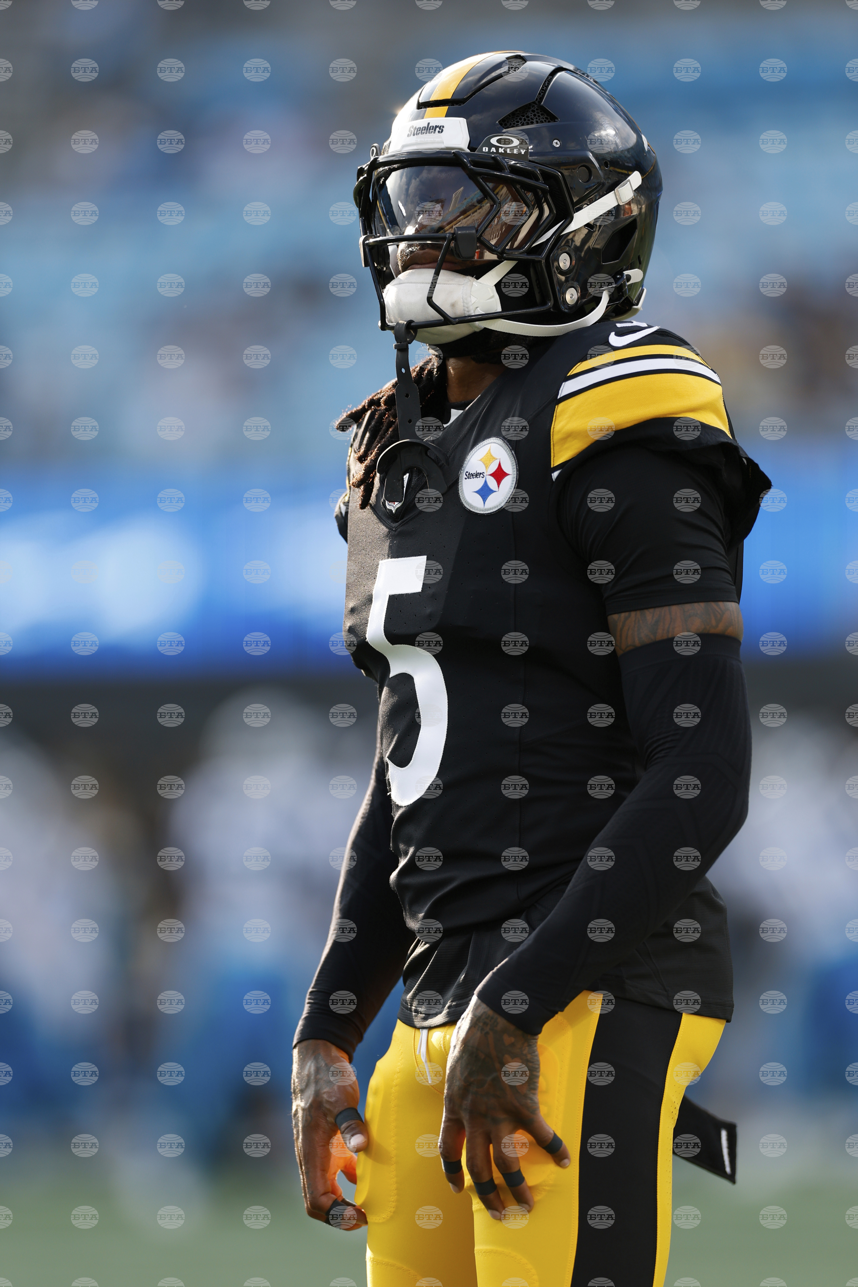 Steelers Panthers Football