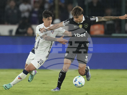 Ecuador Brazil Soccer Copa Libertadores