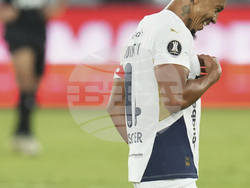 Ecuador Brazil Soccer Copa Libertadores