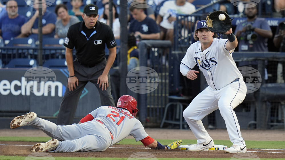 Cardinals Rays Baseball