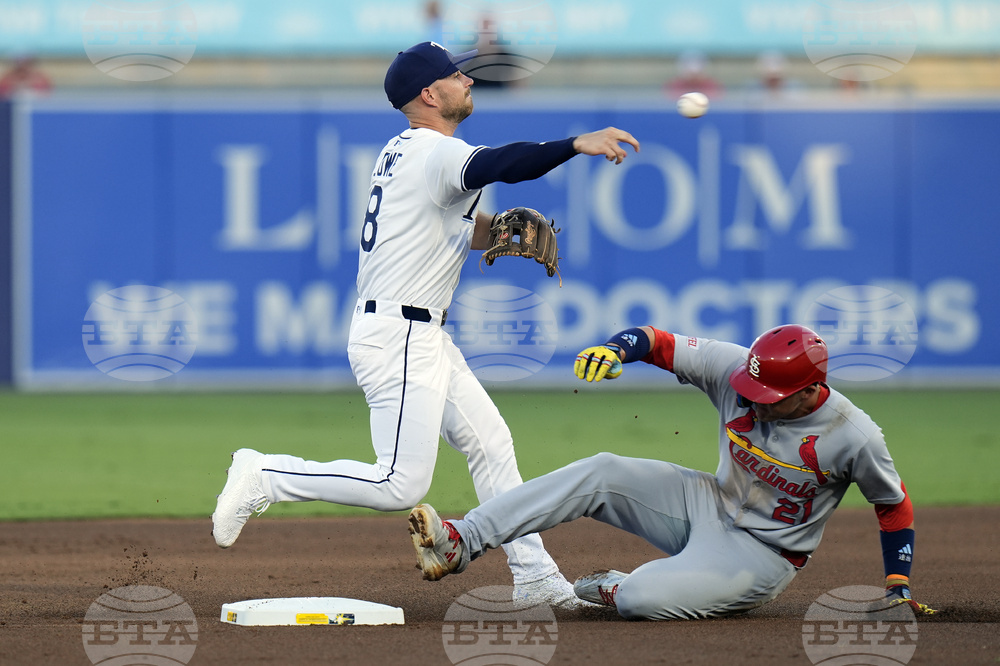 Cardinals Rays Baseball