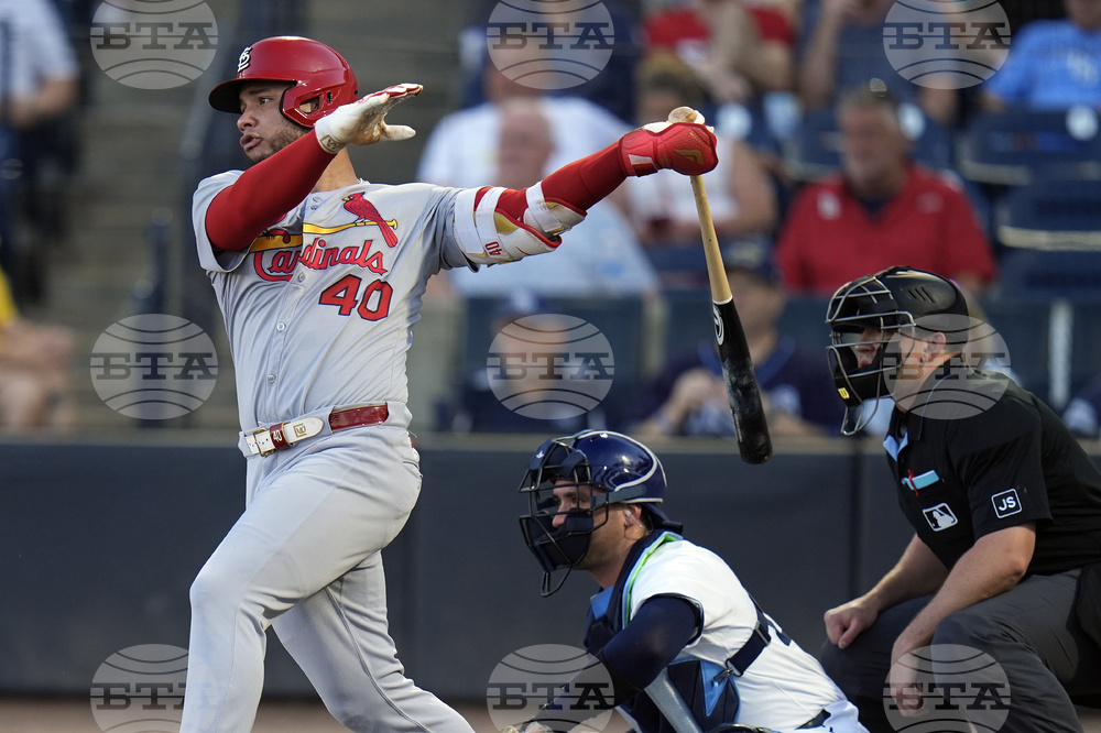 Cardinals Rays Baseball
