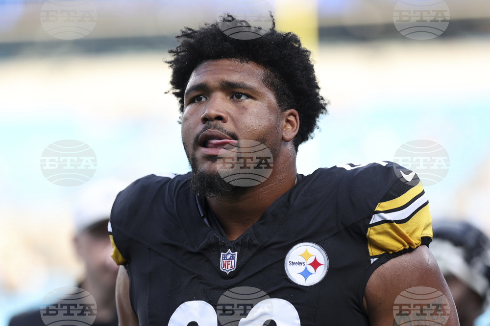 Steelers Panthers Football