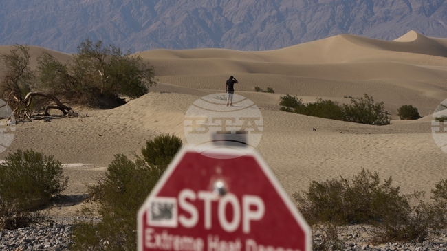Температурни рекорди през 2025 г. бяха поставени в Централна Азия, Сахел и Северна Европа 