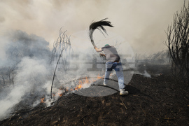 Pictures of the Week Global Photo Gallery