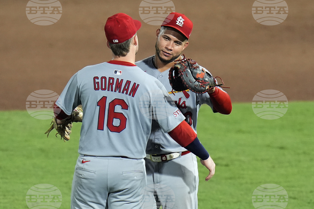 Cardinals Rays Baseball
