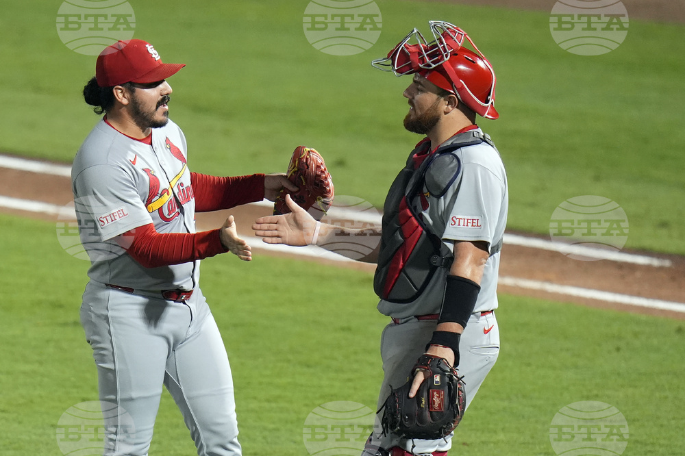 Cardinals Rays Baseball
