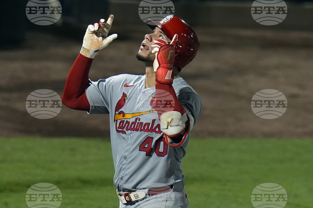 Cardinals Rays Baseball