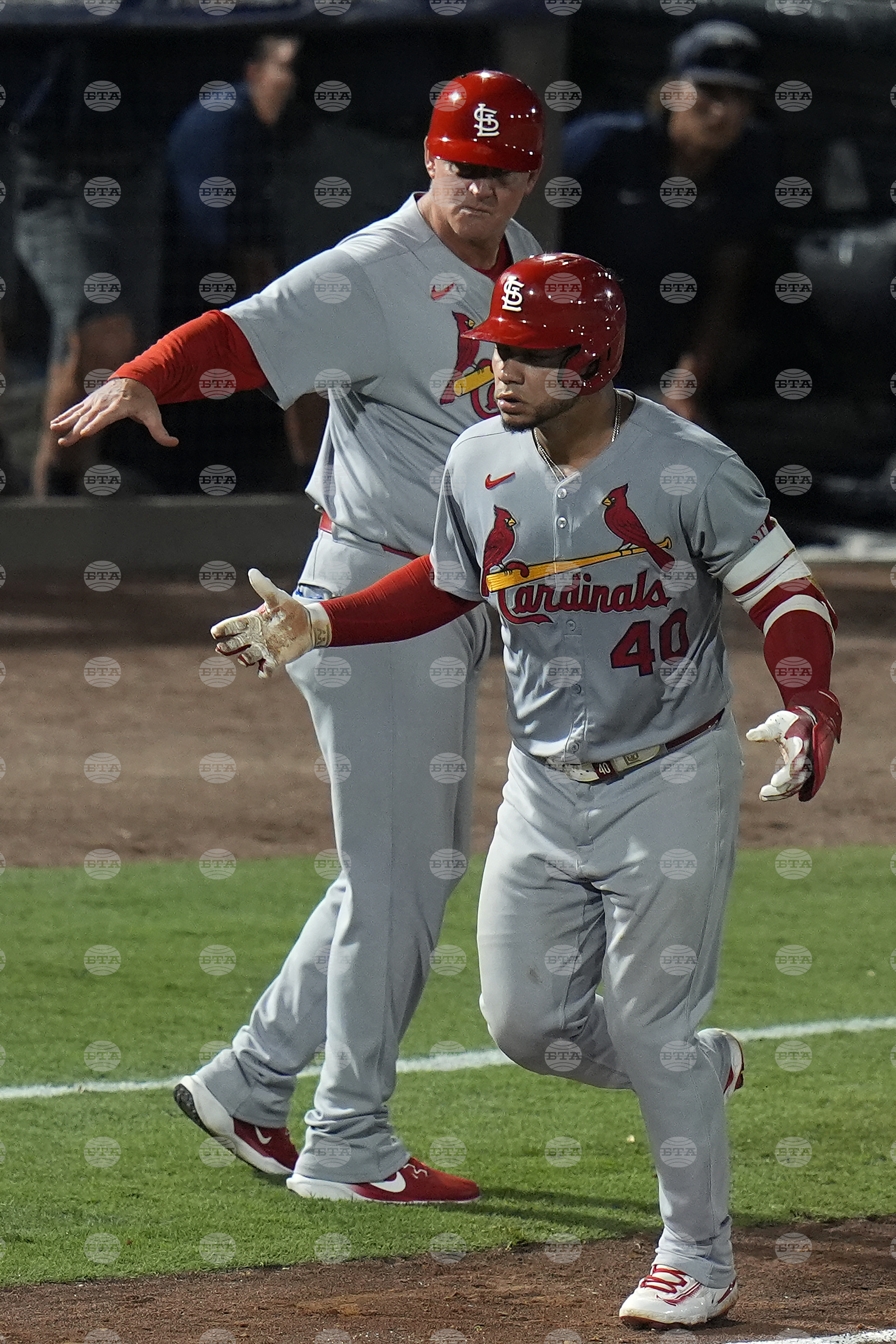 Cardinals Rays Baseball