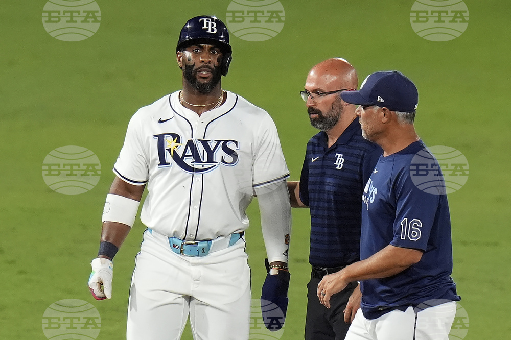 Cardinals Rays Baseball