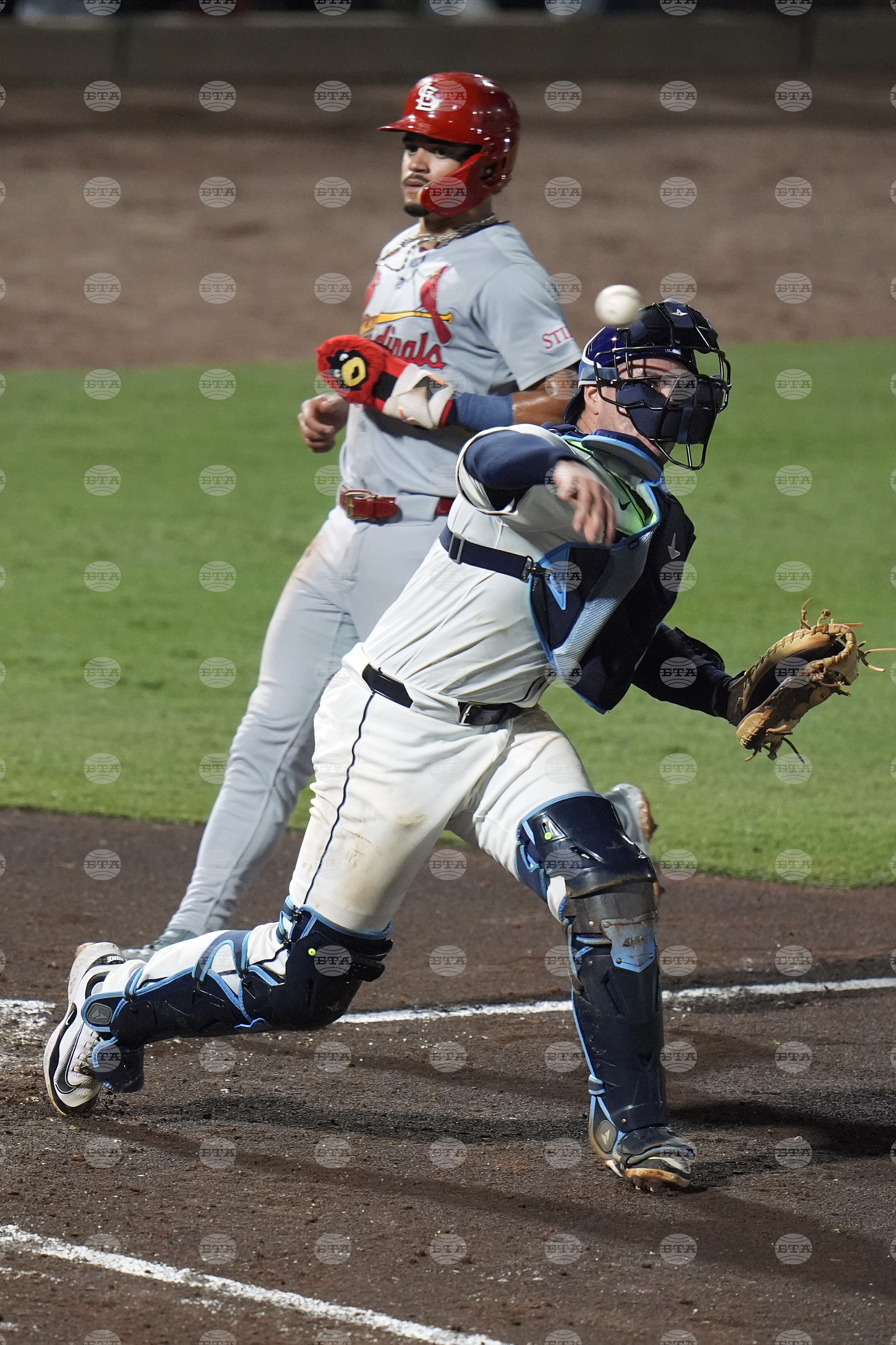 Cardinals Rays Baseball