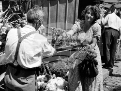 Sofia - on this day - market - august 22, 1952