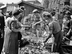 Sofia - on this day - market - august 22, 1952