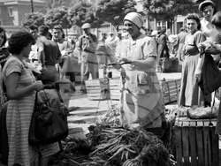 Sofia - on this day - market - august 22, 1952