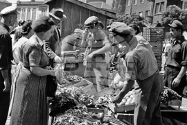 Sofia - on this day - market - august 22, 1952