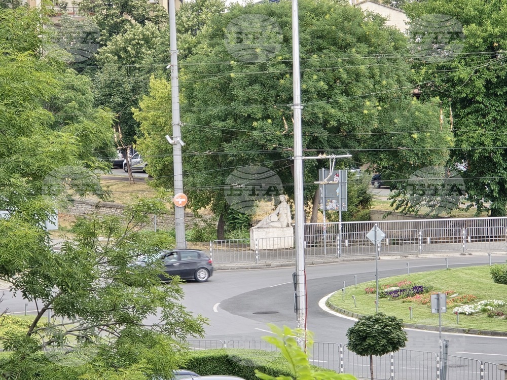 Приключи почистването на растителност край пътищата от Сливен до Бинкос, възложено в края на юни