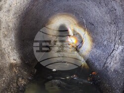 Снимка: Община Русе