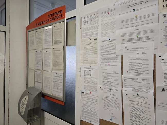 Преди началото на учебната година учителите са най-търсените специалисти в област Видин